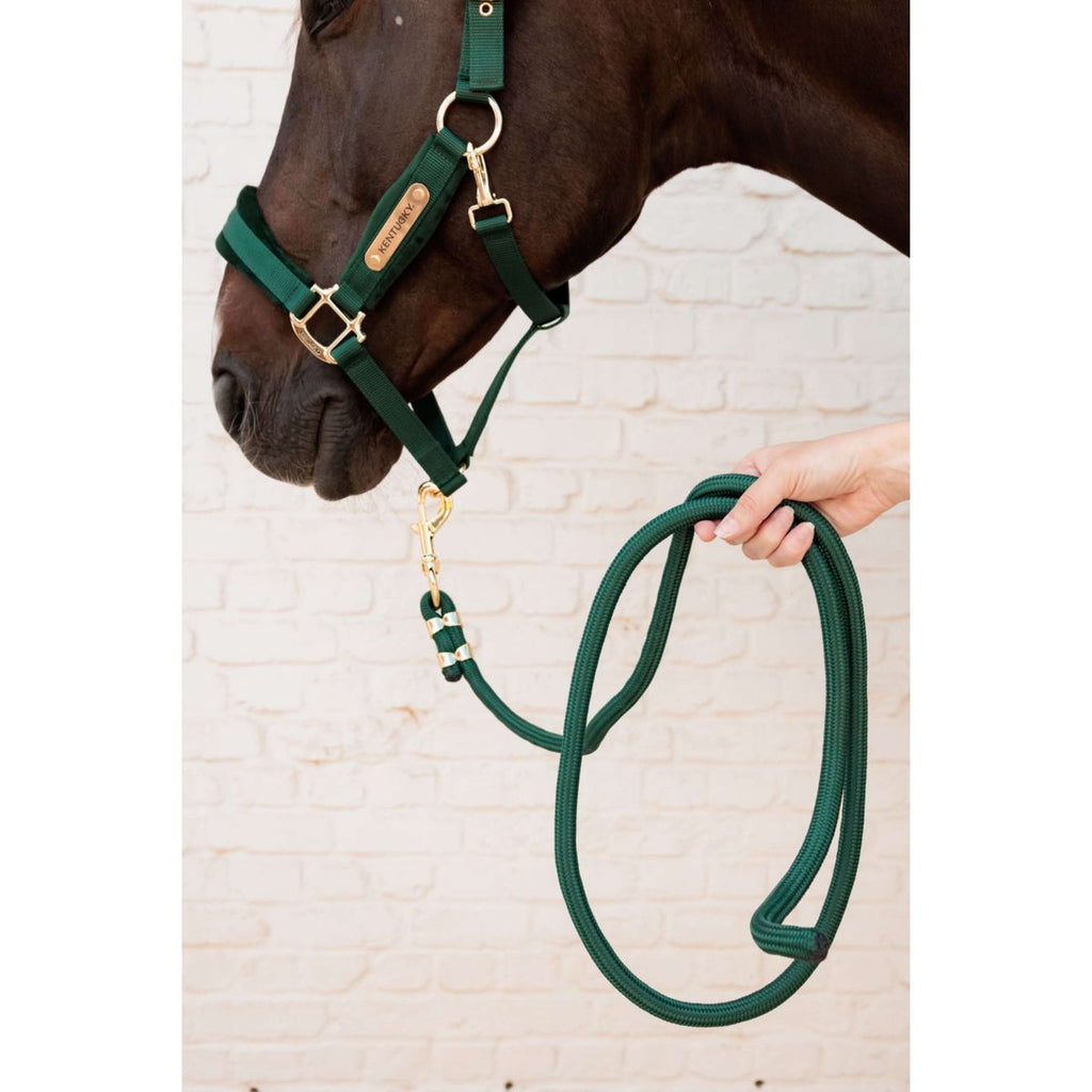 Kentucky Cabestro Velvet Pine Green
