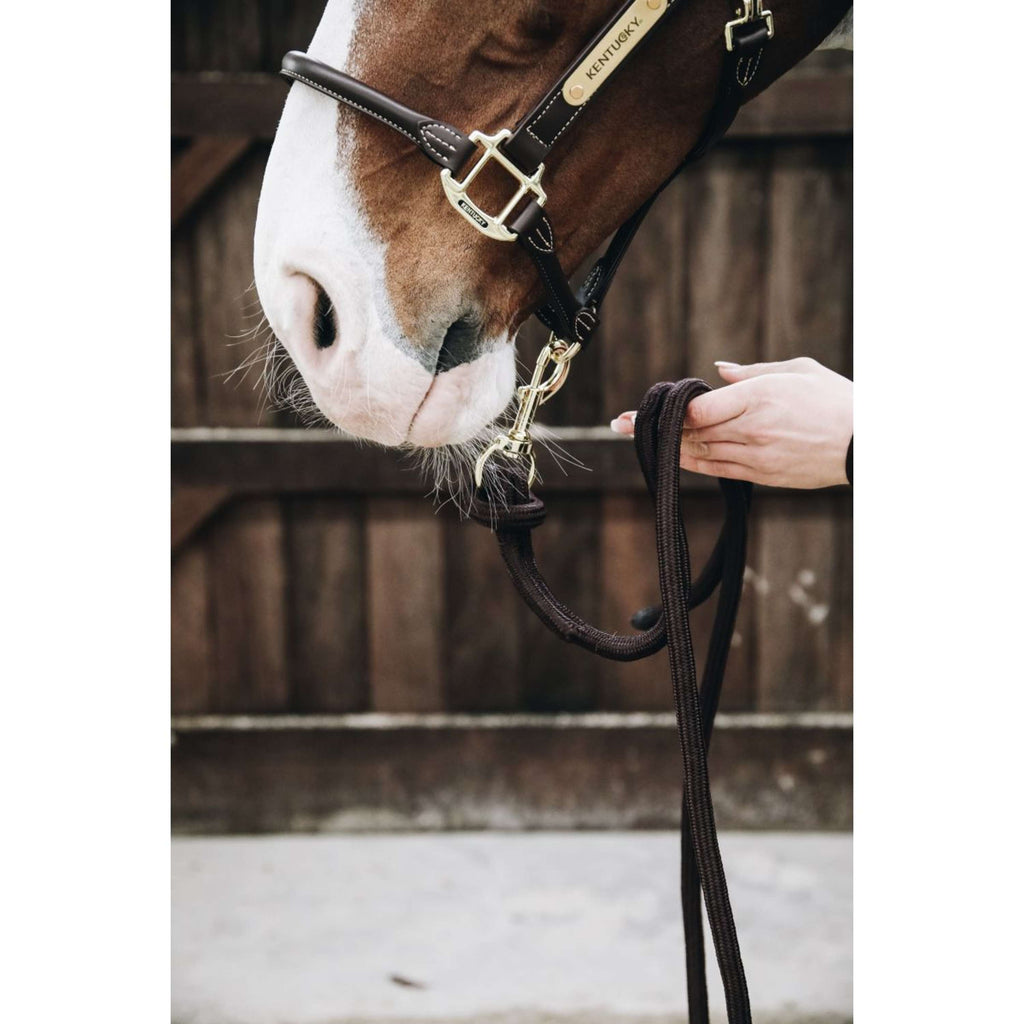 Kentucky Horsewear Cuerda de Cabestro Loop Marron