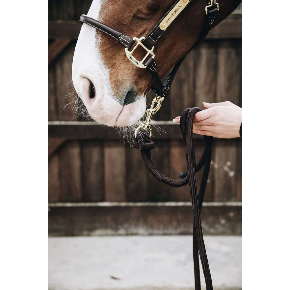 Kentucky Horsewear Cuerda de Cabestro Loop Marron