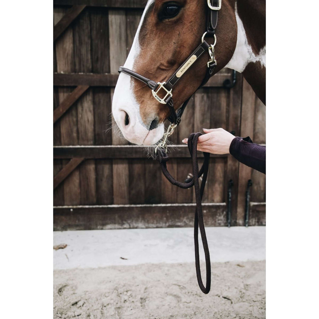 Kentucky Horsewear Cuerda de Cabestro Loop Marron