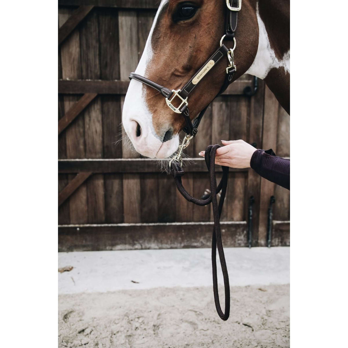 Kentucky Horsewear Cuerda de Cabestro Loop Marron