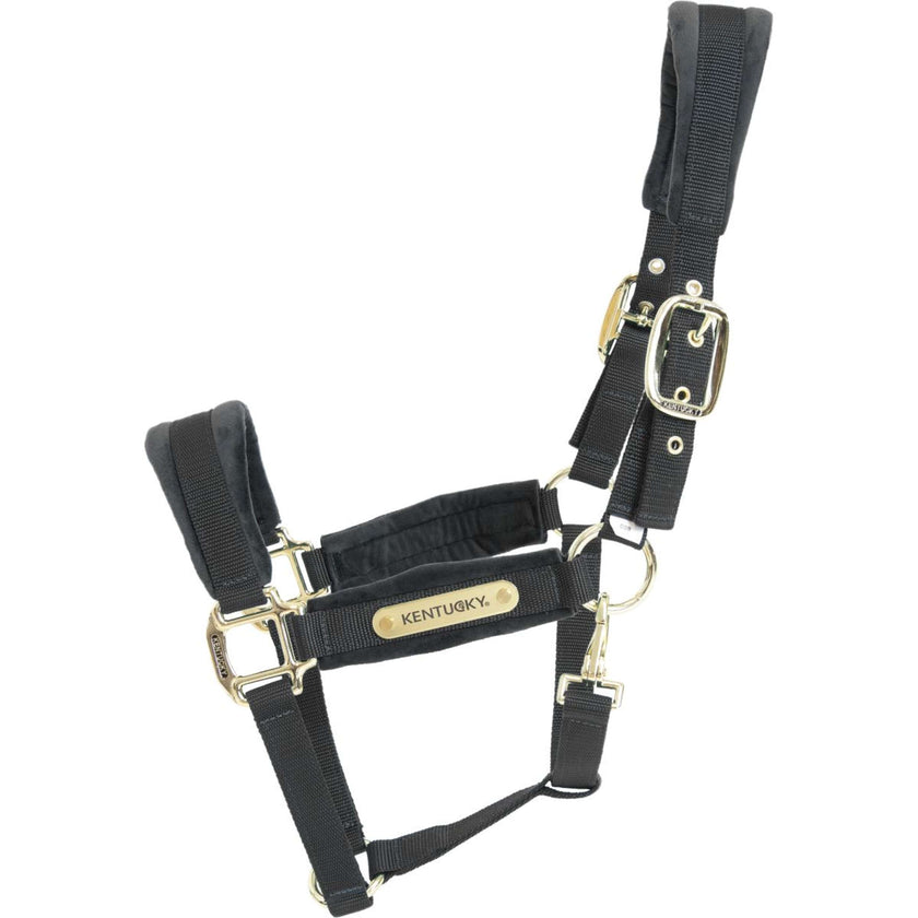Kentucky Horsewear Cabestro Velvet Negro