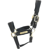 Kentucky Horsewear Cabezada Velvet Negro