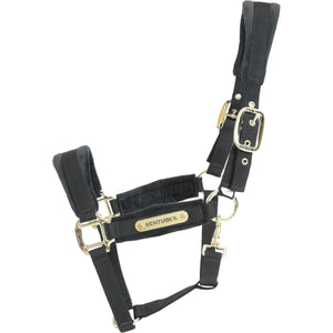 Kentucky Horsewear Cabezada Velvet Negro