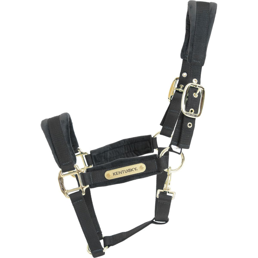 Kentucky Horsewear Cabezada Velvet Negro