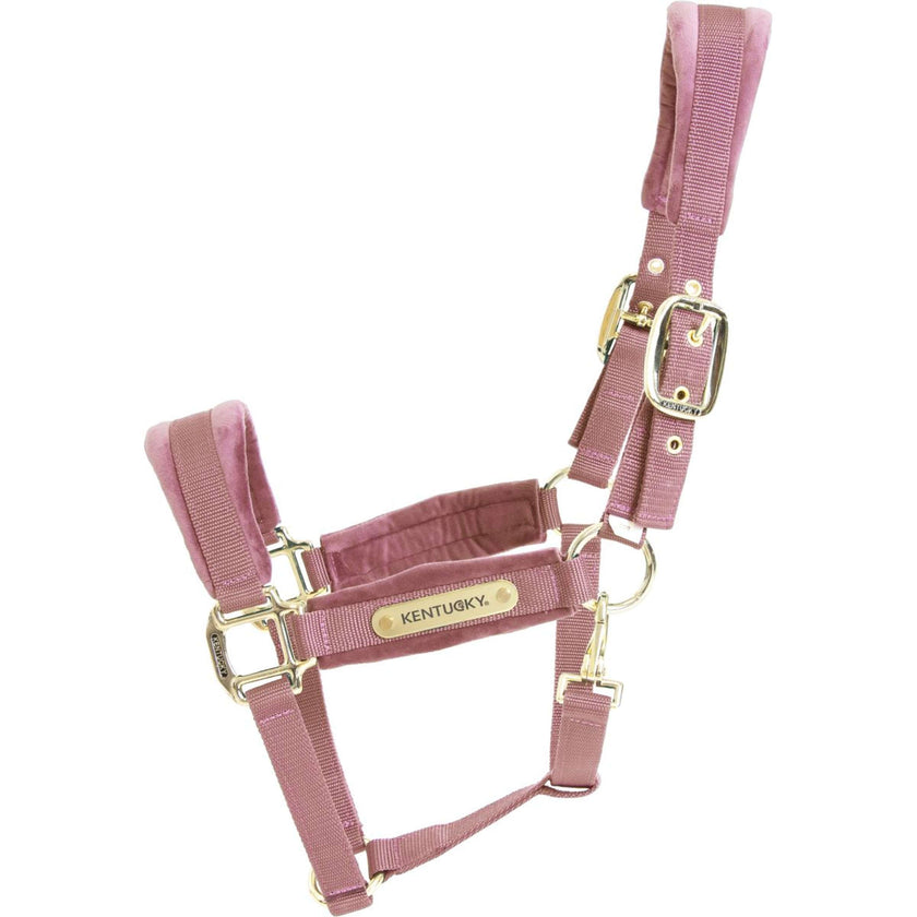 Kentucky Horsewear Cabestro Velvet Rosa Viejo