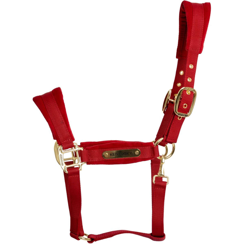 Kentucky Cabestro Velvet Rojo