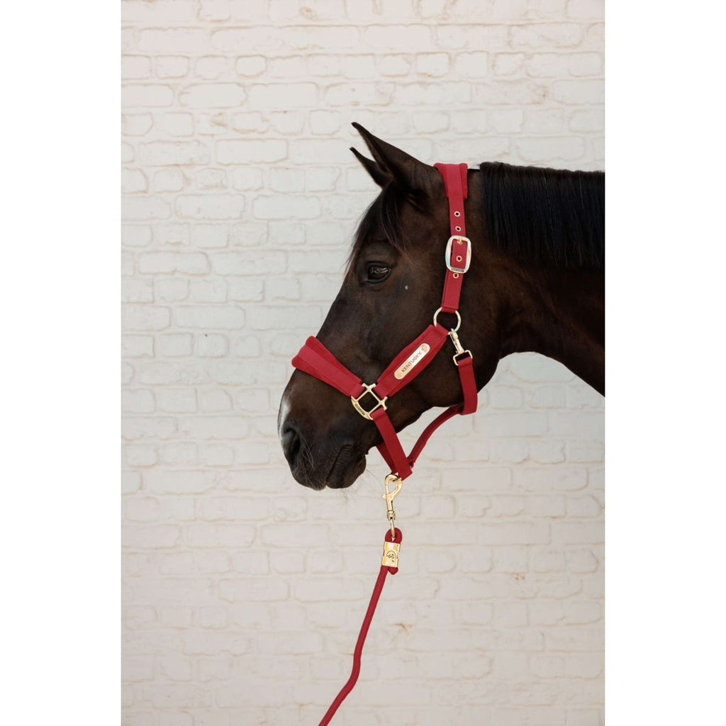 Kentucky Cuerda de Cabestro Basic Rojo