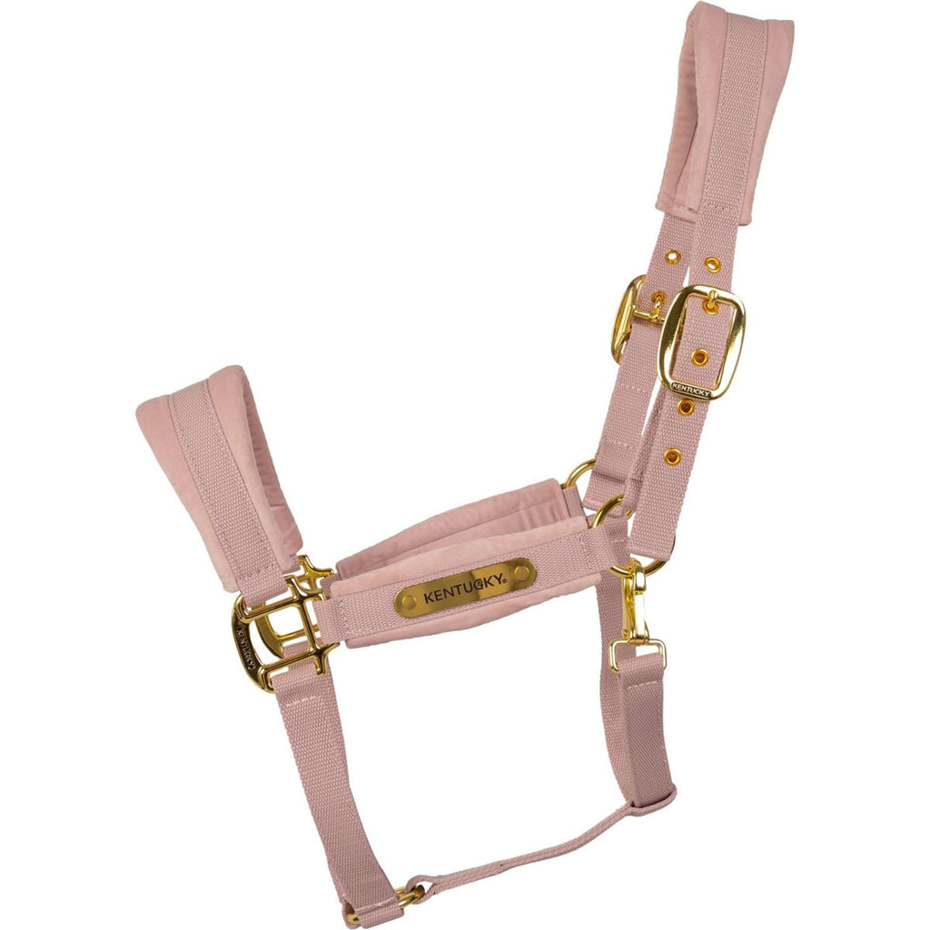 Kentucky Cabestro Velvet Soft Rose