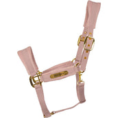 Kentucky Cabestro Velvet Soft Rose