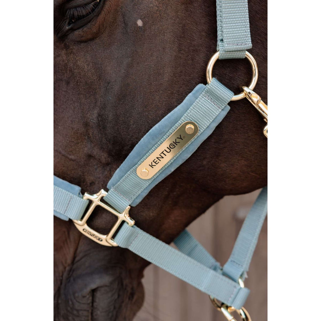 Kentucky Cabestro Velvet Azul claro