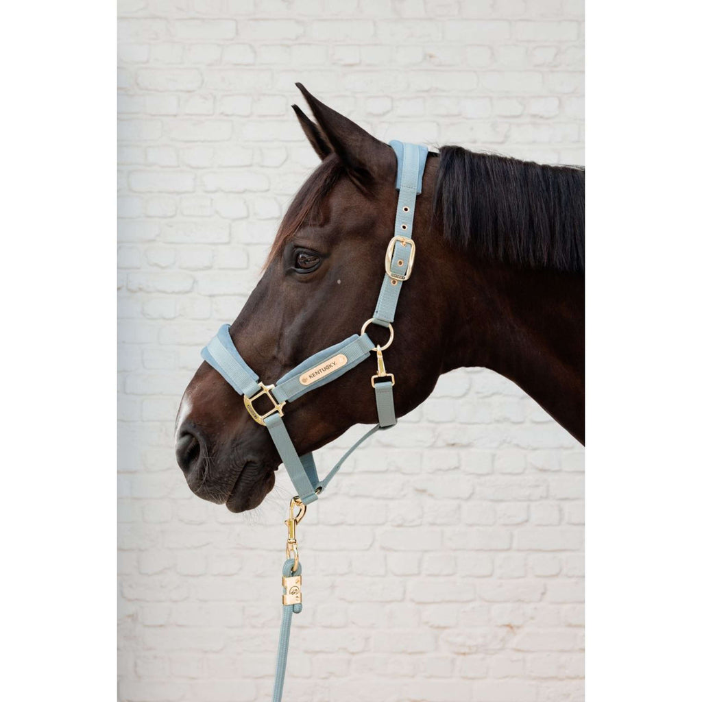 Kentucky Cuerda de Cabestro Basic Azul claro