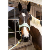 Kentucky Cabezada Velvet Mint