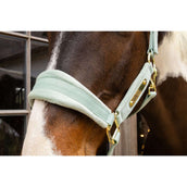 Kentucky Cabezada Velvet Mint