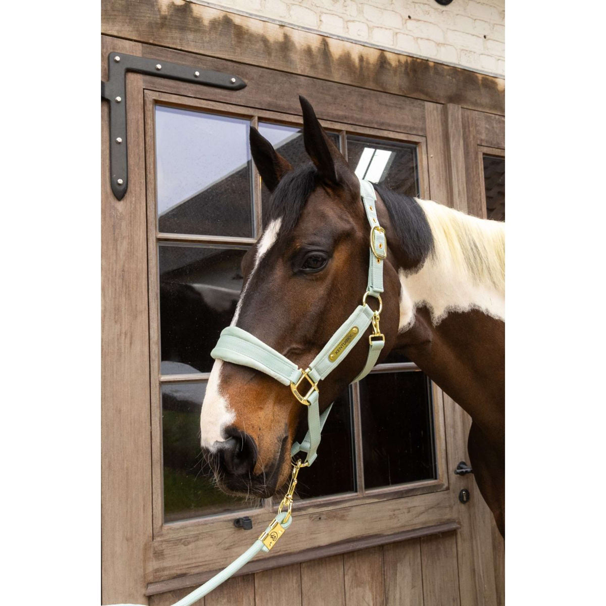 Kentucky Cabezada Velvet Mint