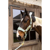 Kentucky Cabezada Velvet Mint