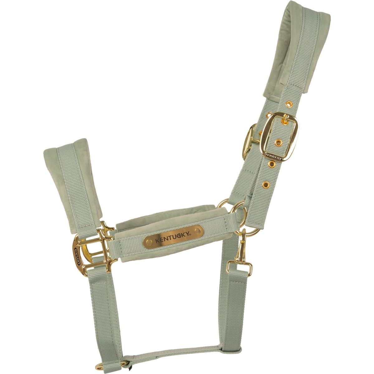 Kentucky Cabezada Velvet Mint