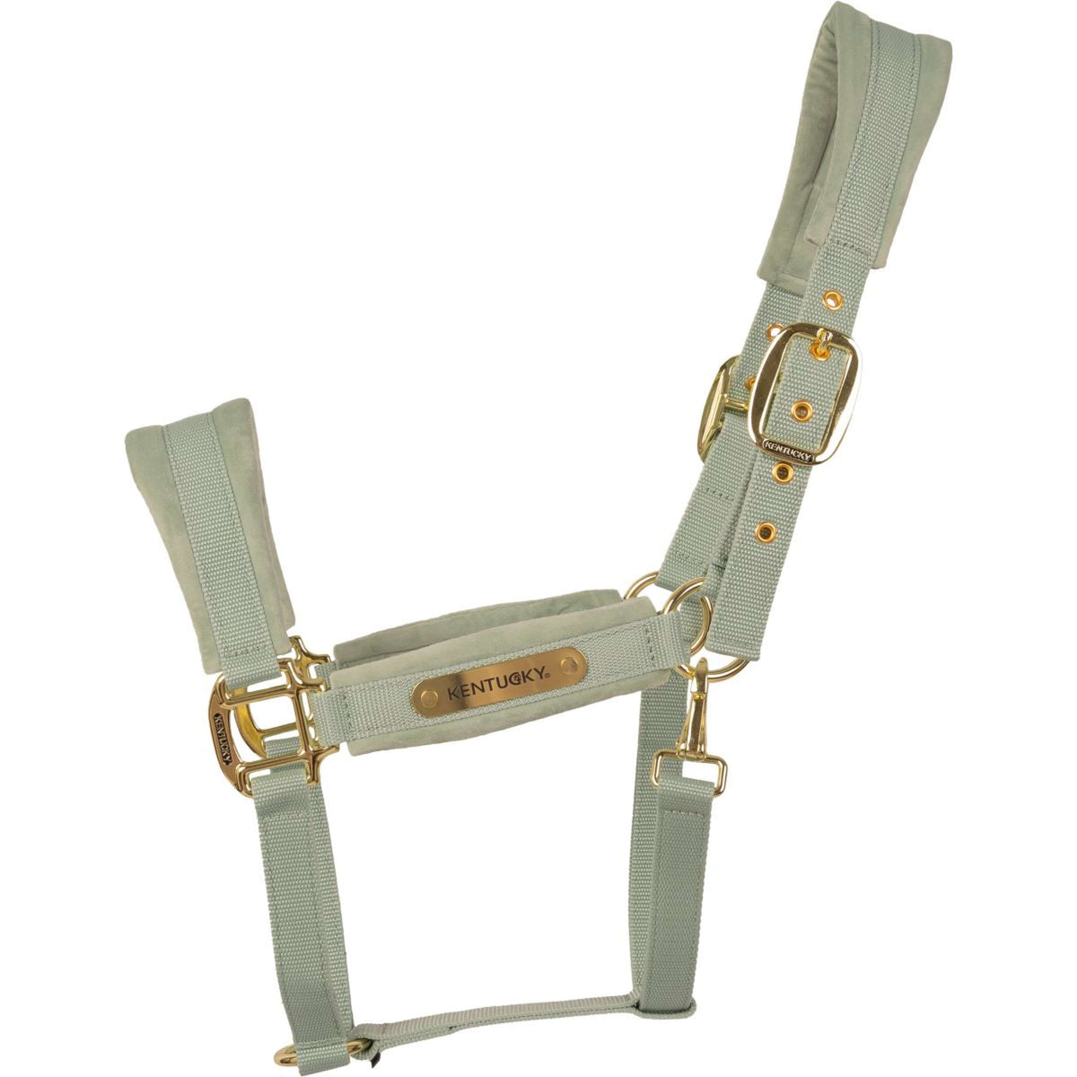 Kentucky Cabezada Velvet Mint