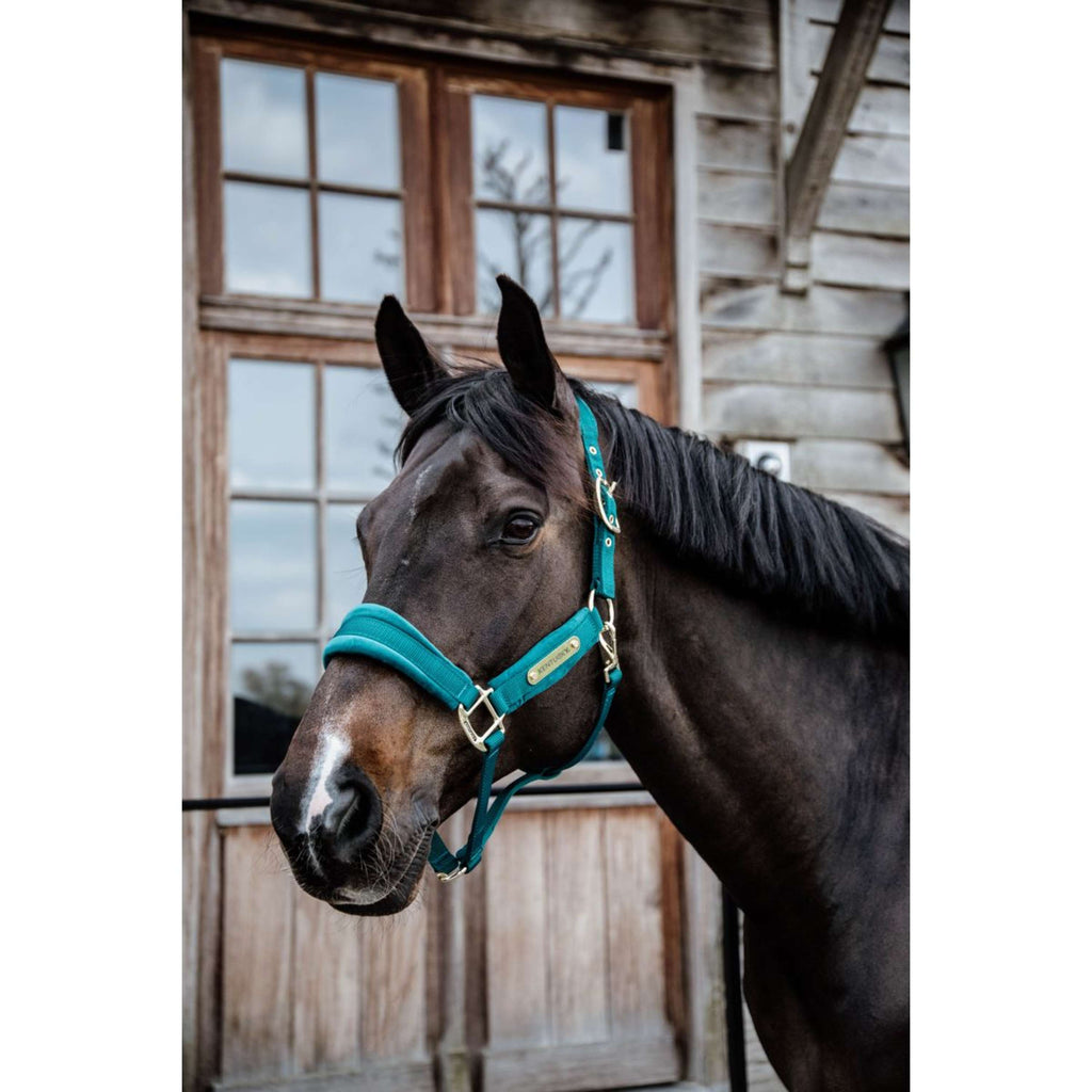 Kentucky Horsewear Cabestro Velvet Esmeralda