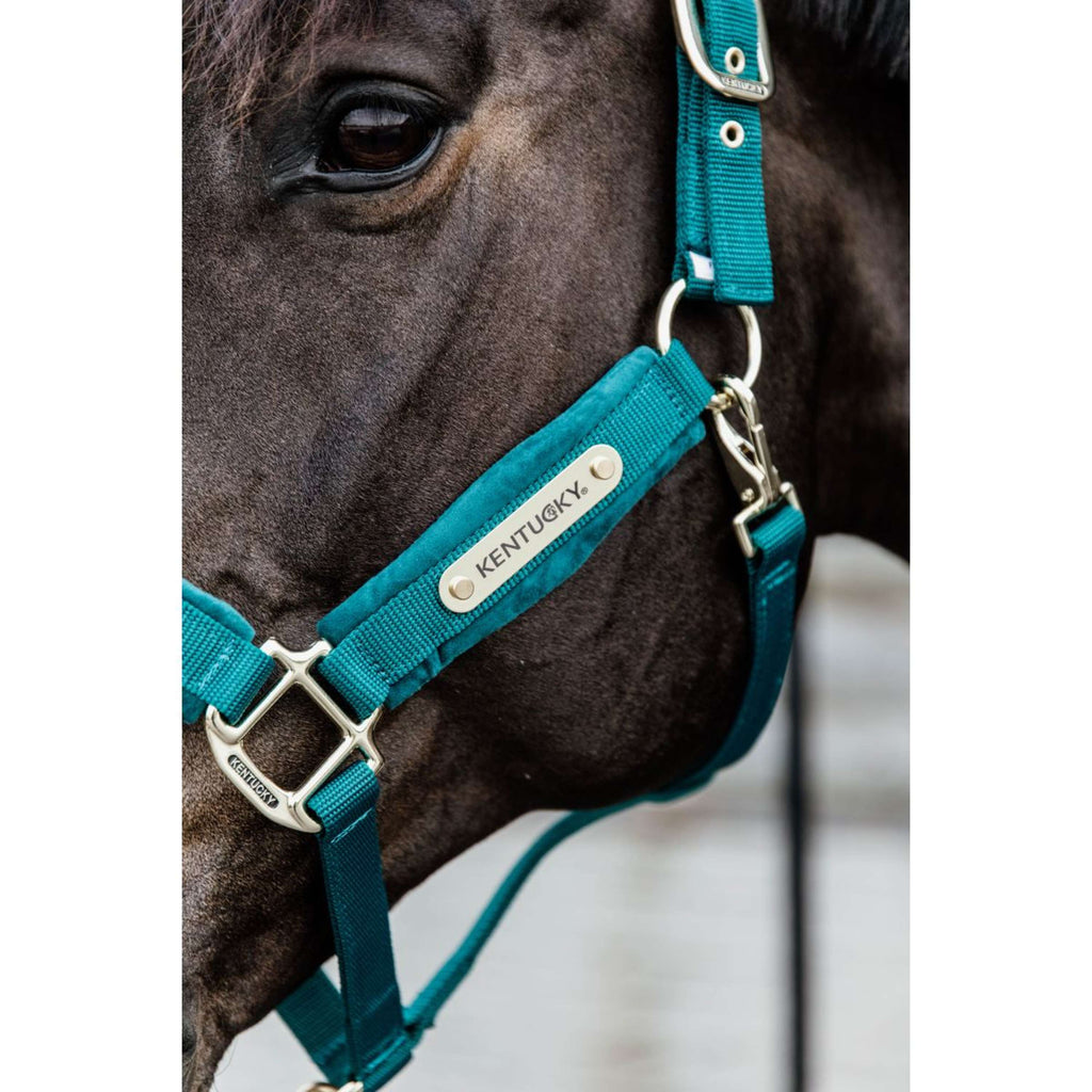 Kentucky Horsewear Cabestro Velvet Esmeralda