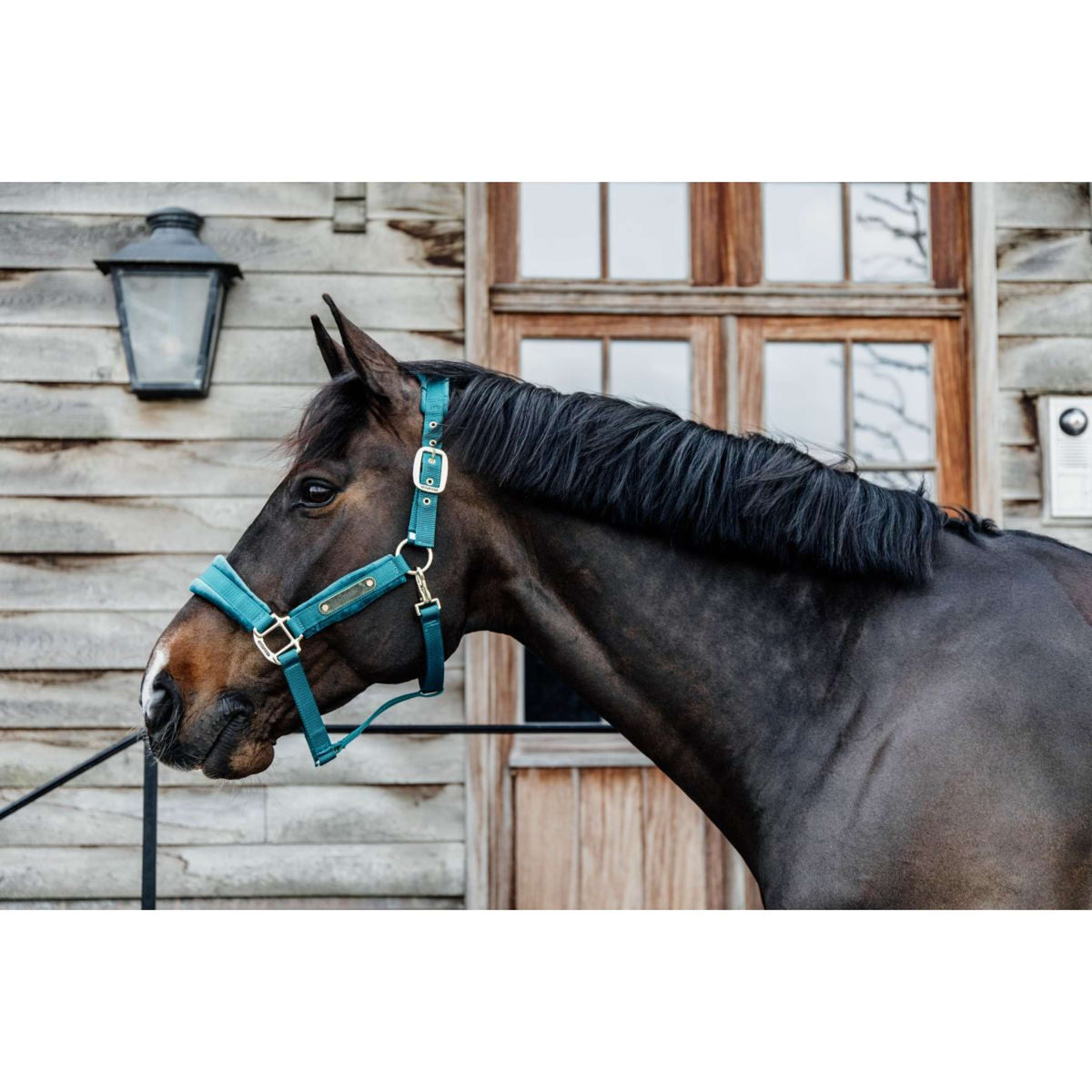 Kentucky Horsewear Cabezada Velvet Esmeralda