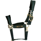 Kentucky Cabestro Velvet Pine Green