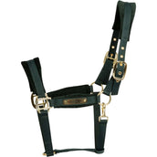 Kentucky Cabezada Velvet Pine Green