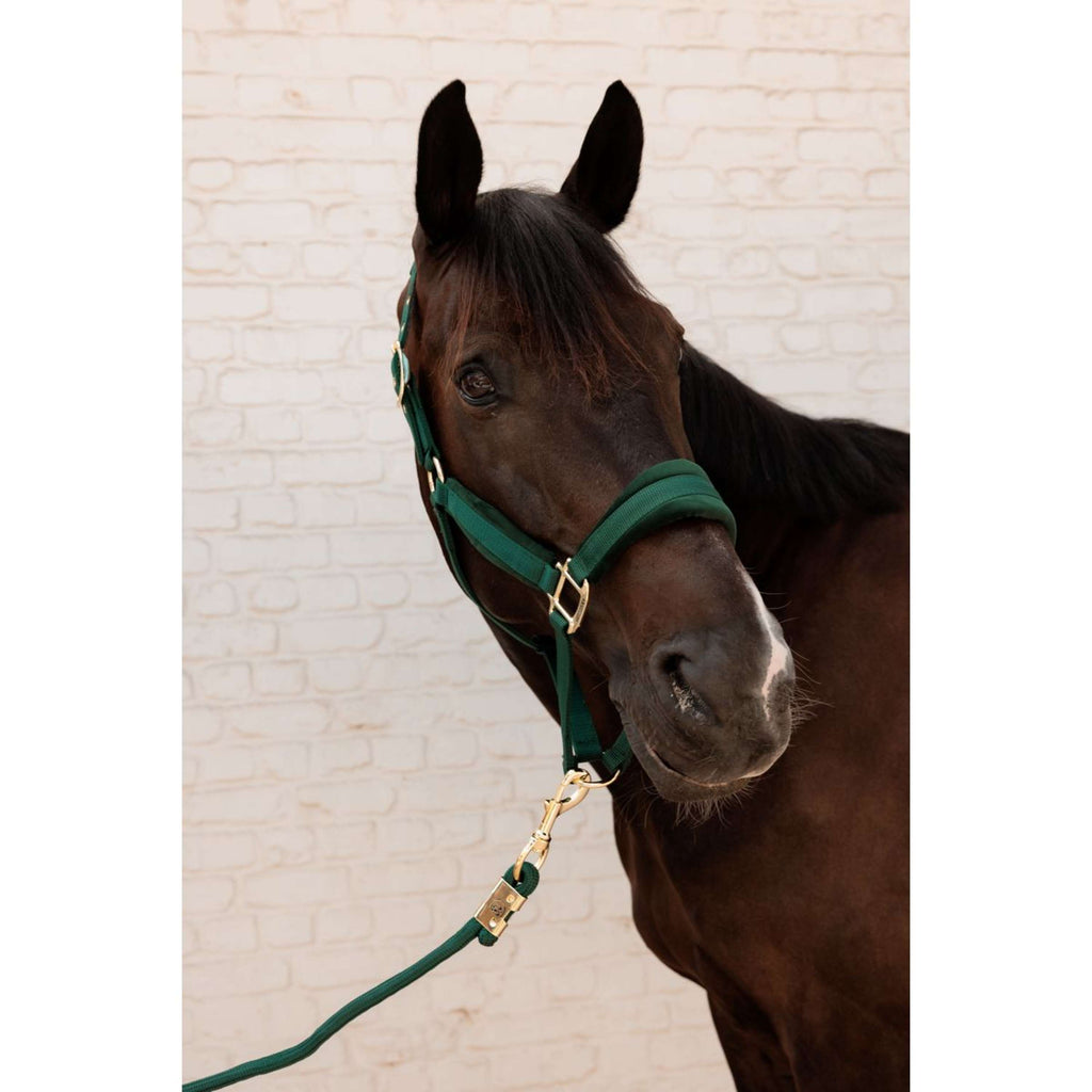 Kentucky Cuerda de Cabestro Basic Pine Green