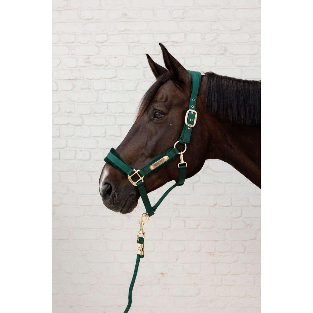 Kentucky Cabestro Velvet Pine Green