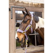 Kentucky Cabezada Velvet Morado