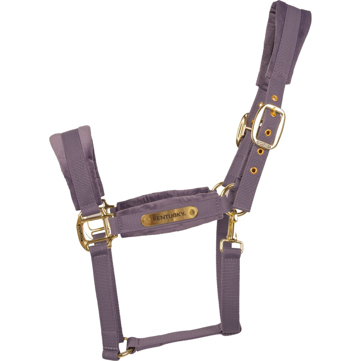 Kentucky Cabezada Velvet Morado