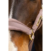 Kentucky Cabezada Velvet Lila