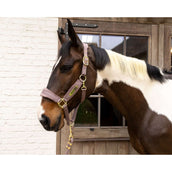 Kentucky Cabezada Velvet Lila