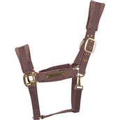 Kentucky Cabezada Velvet Lila