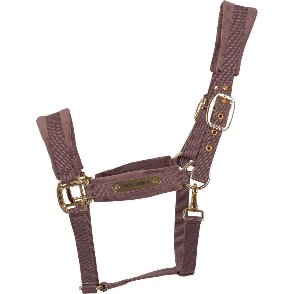 Kentucky Cabestro Velvet Lila