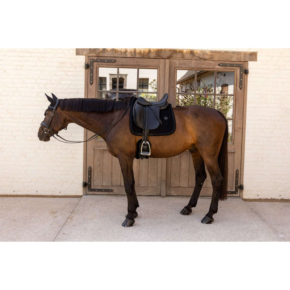 Kentucky Mantilla Velvet Mini Pearls Doma clásica Negro