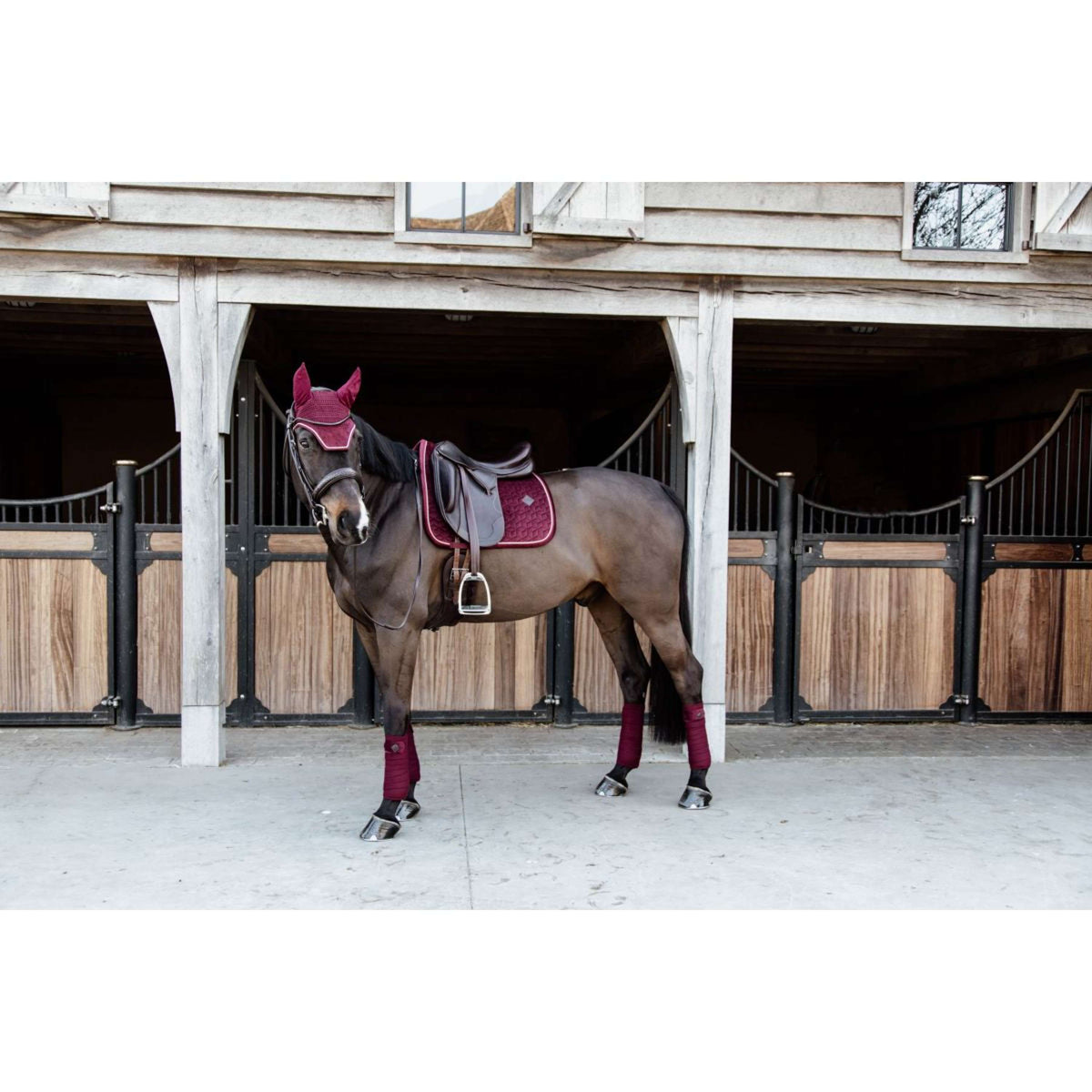 Kentucky Horsewear Mantilla Velvet Doma Bordeaux