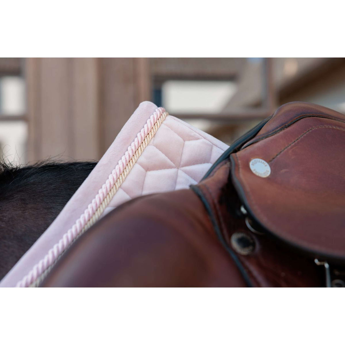 Kentucky Mantilla Velvet saltando Soft Rose