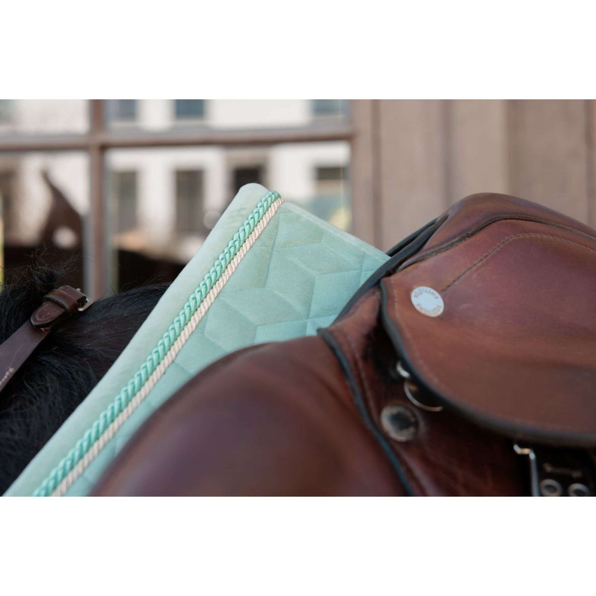 Kentucky Mantilla Velvet saltando Mint