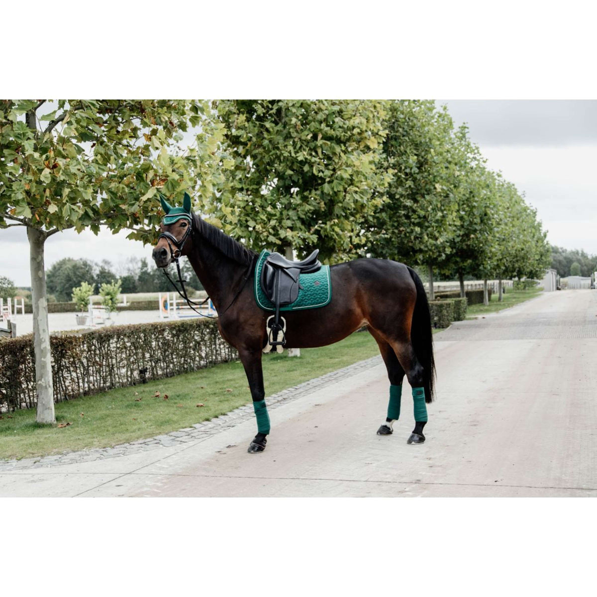 Kentucky Horsewear Mantilla Velvet Doma Verde Oscuro