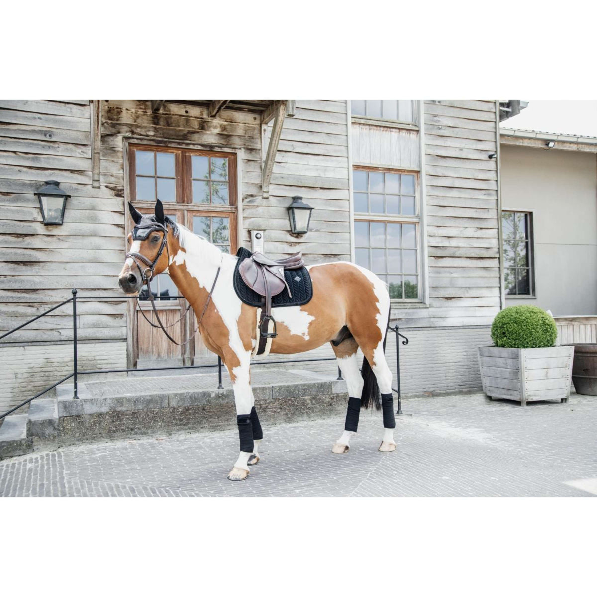 Kentucky Horsewear Mantilla Velvet Pearls Springen Negro