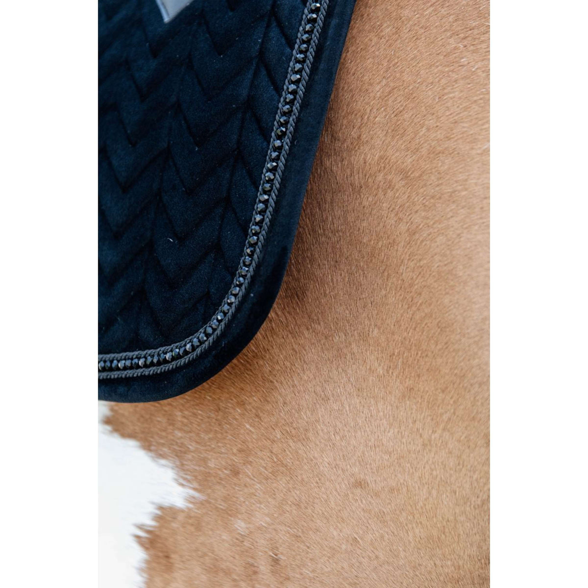 Kentucky Horsewear Mantilla Velvet Pearls Doma Negro