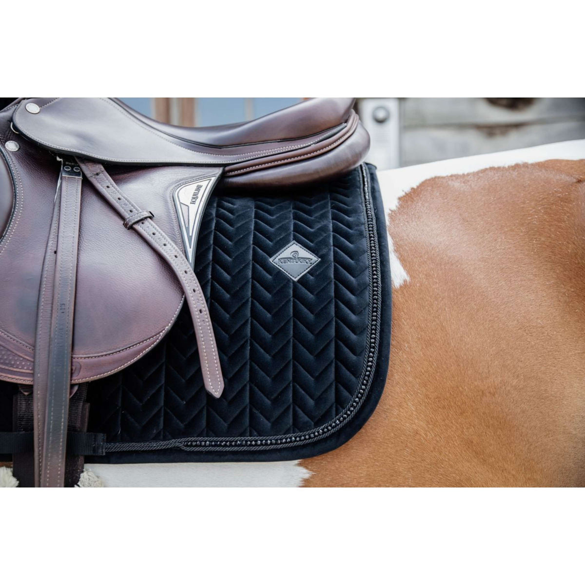 Kentucky Horsewear Mantilla Velvet Pearls Springen Negro