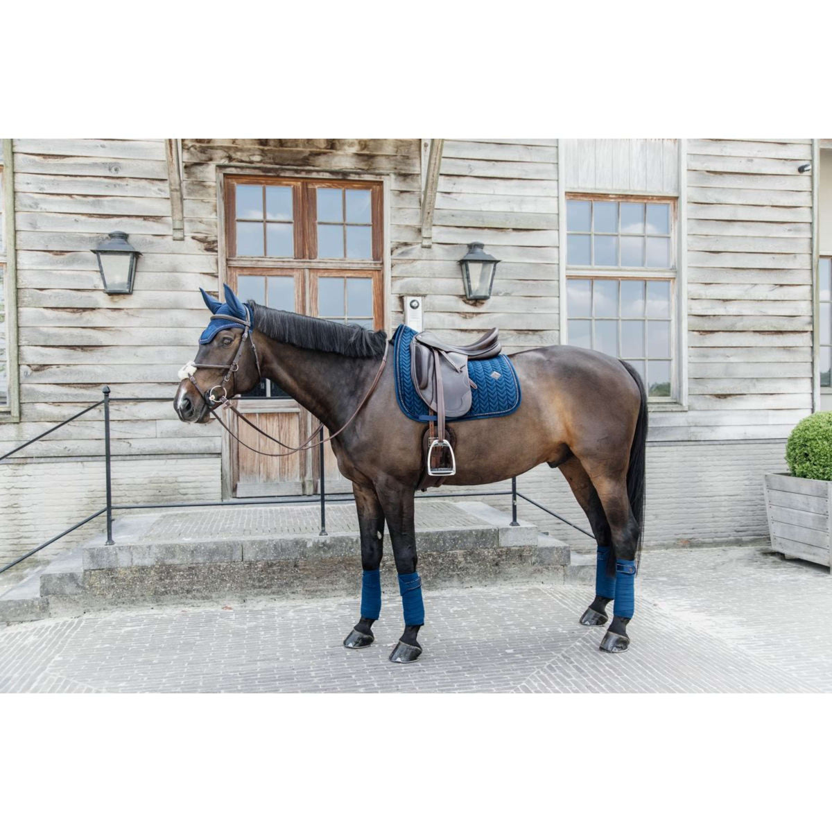 Kentucky Horsewear Mantilla Velvet Pearls Doma clásica Navy