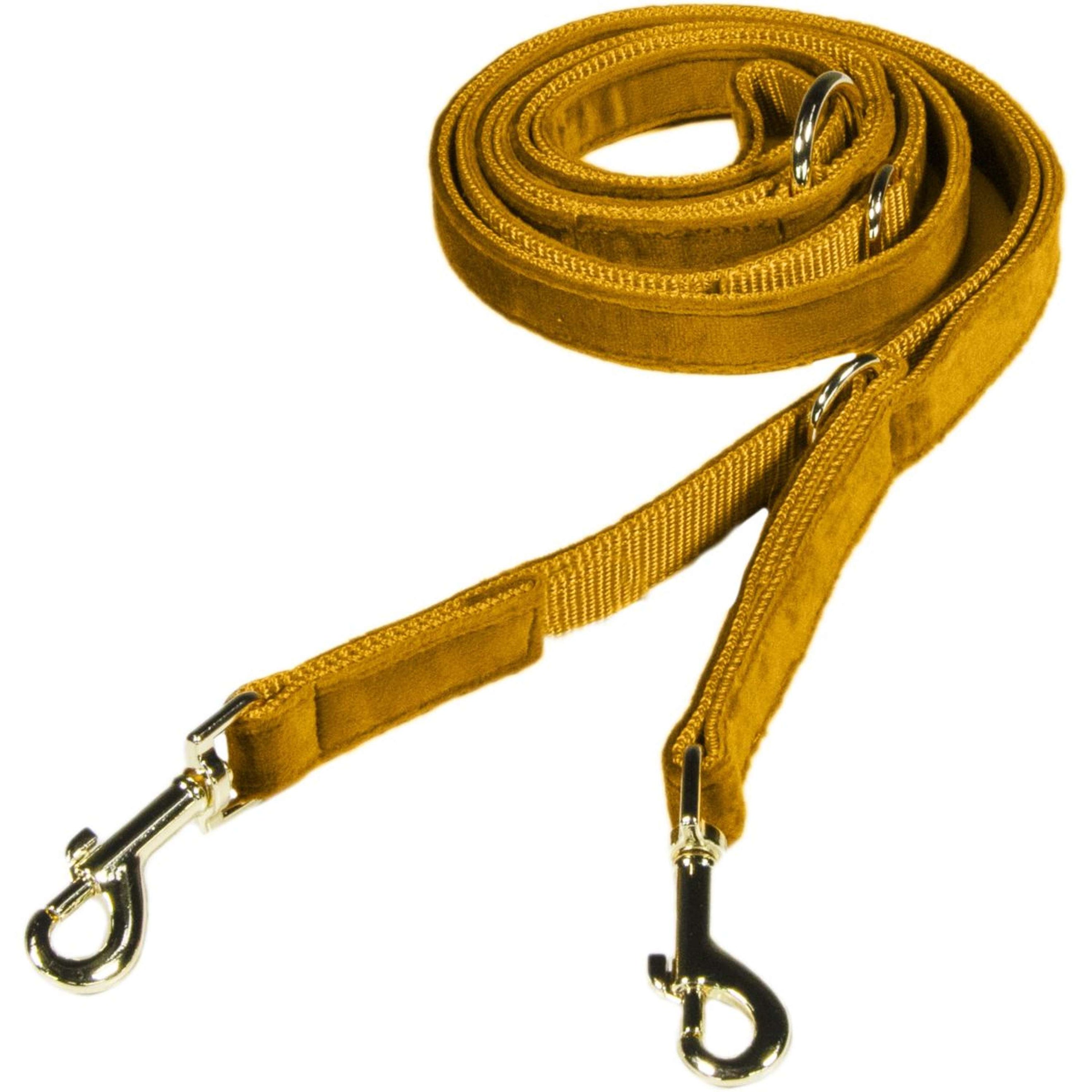 Kentucky Dogwear Correa para Perro Velvet Mostaza