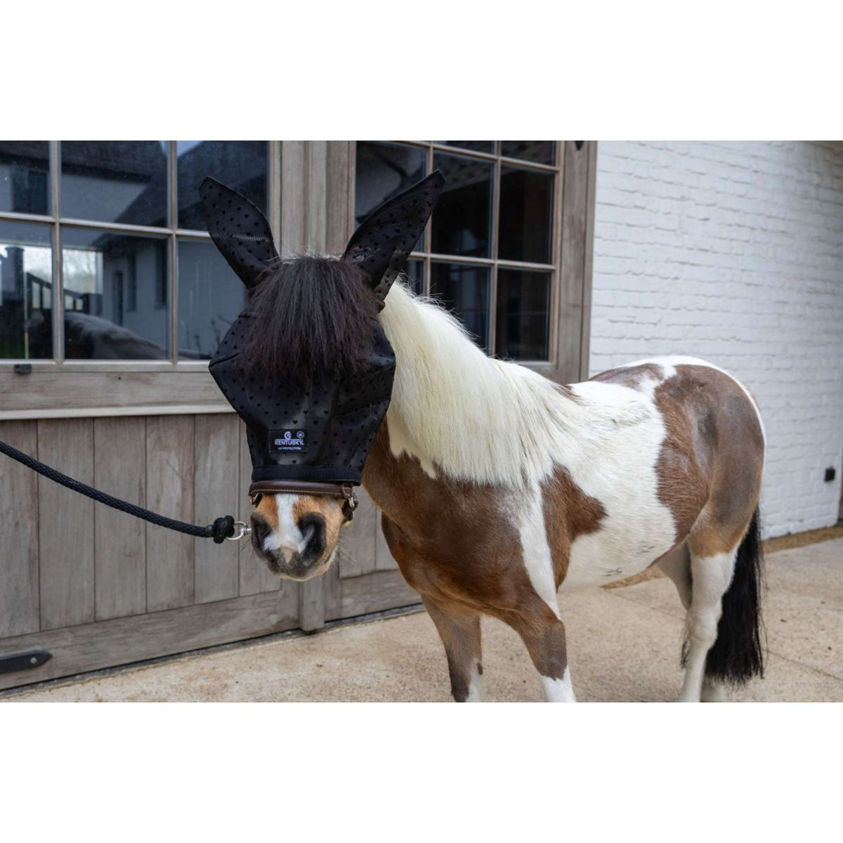 Kentucky Máscara para Moscas Heart con Orejas y Nariz Negro