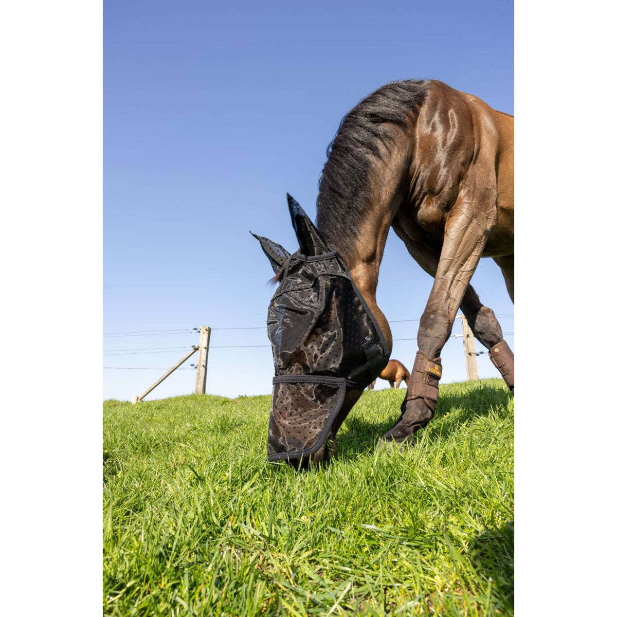 Kentucky Máscara para Moscas Heart con Orejas y Nariz Negro