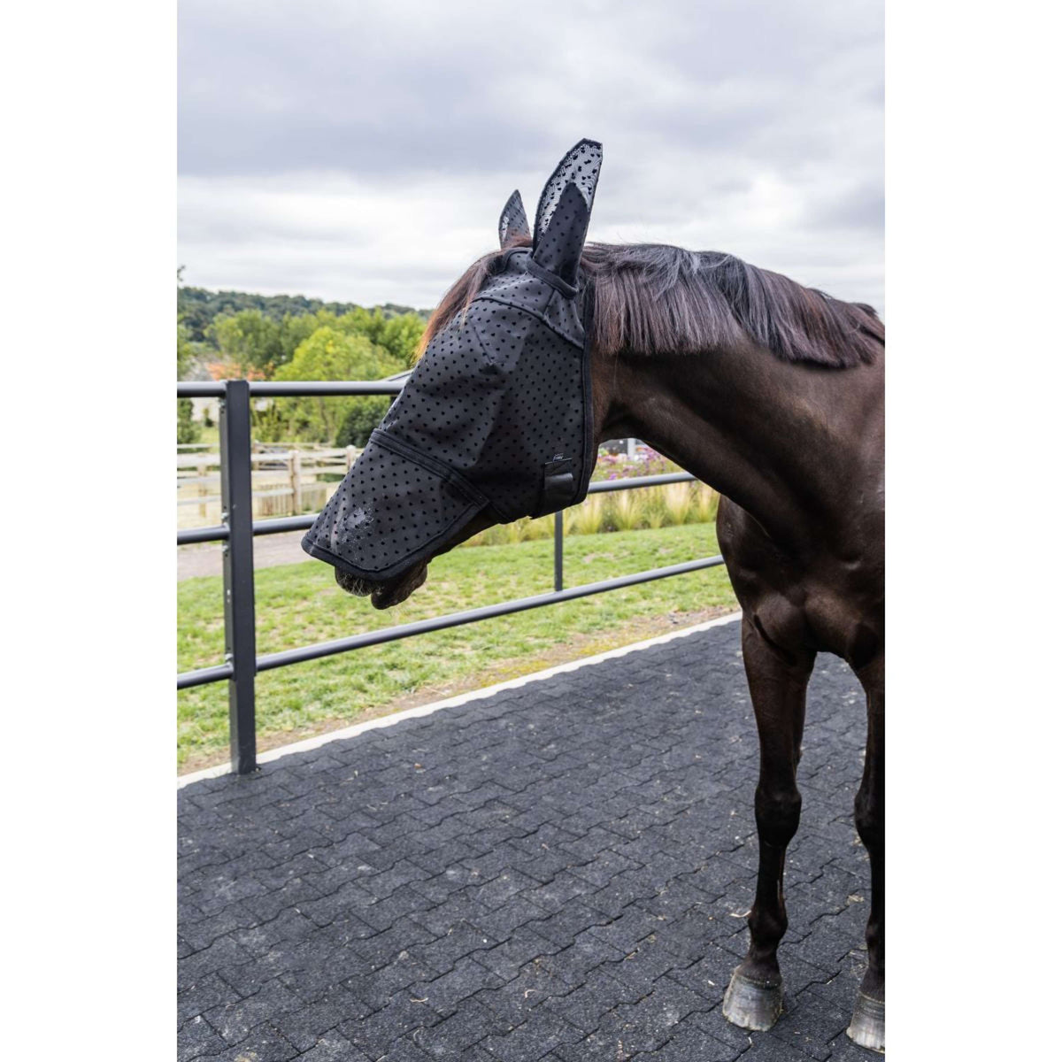 Kentucky Máscara para Moscas Heart con Orejas y Nariz Negro