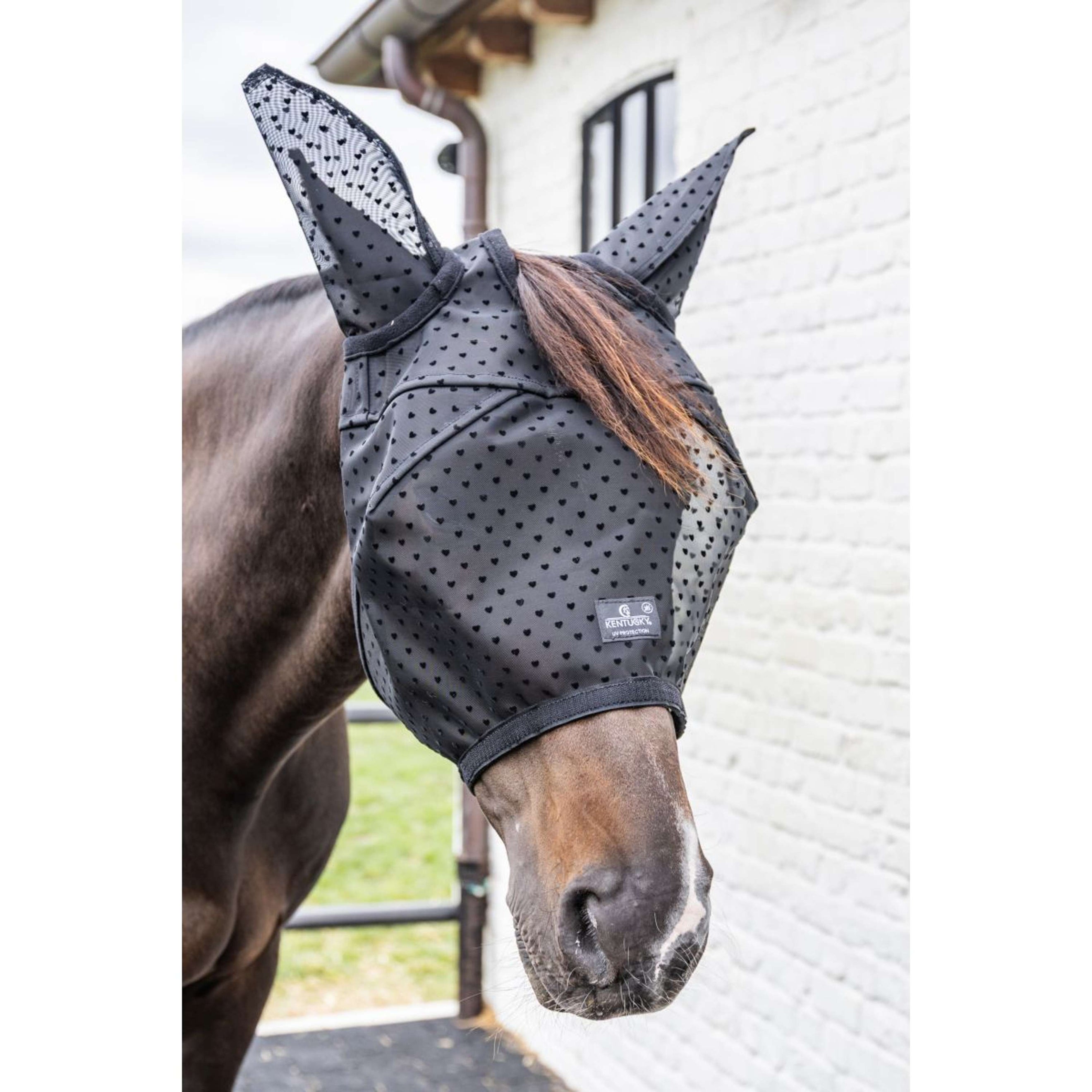 Kentucky Máscara para Moscas Heart con Orejas y Nariz Negro