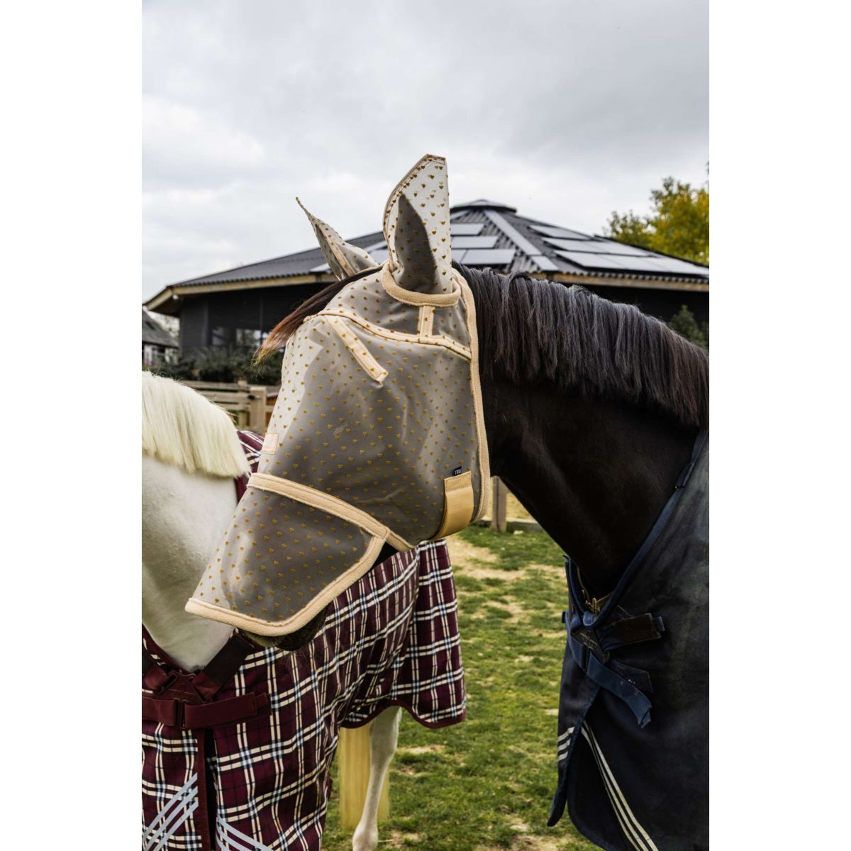 Kentucky Máscara para Moscas Heart con Orejas y Nariz Beige